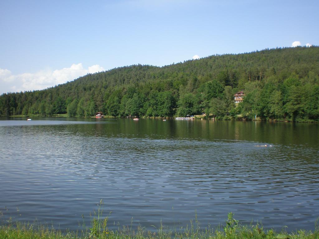 Отель Landgut Stetter Schollnach Экстерьер фото