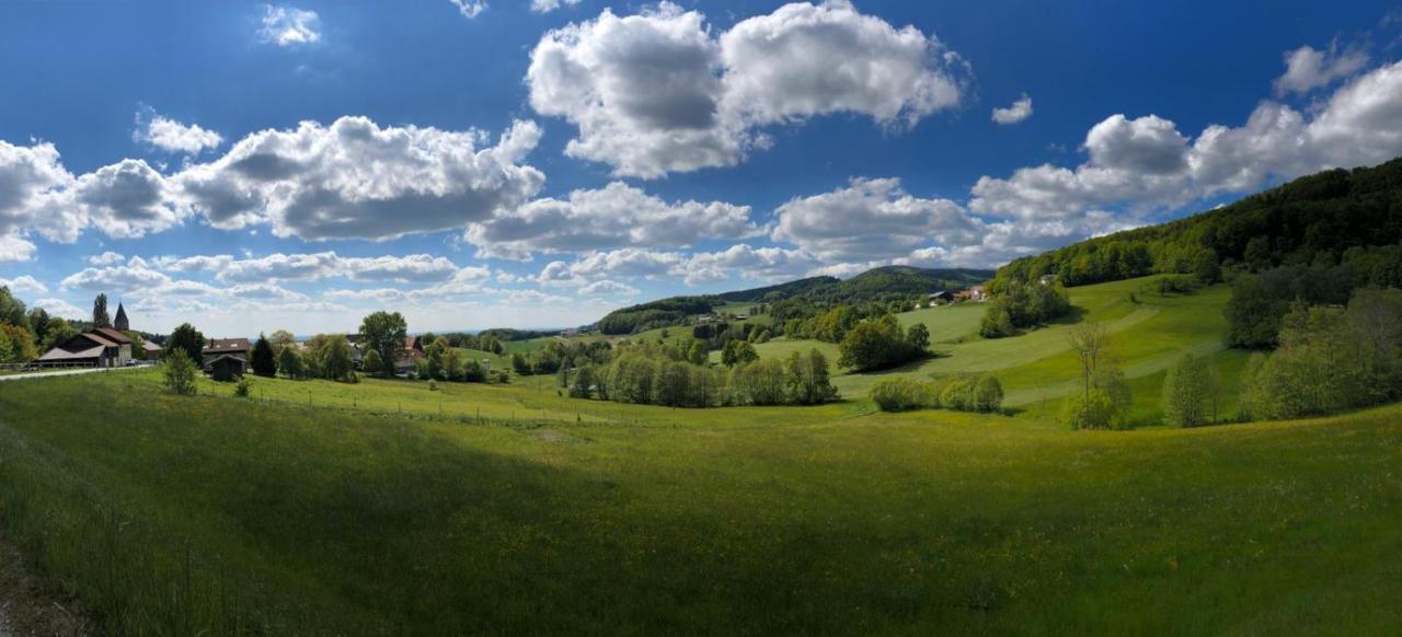 Отель Landgut Stetter Schollnach Экстерьер фото